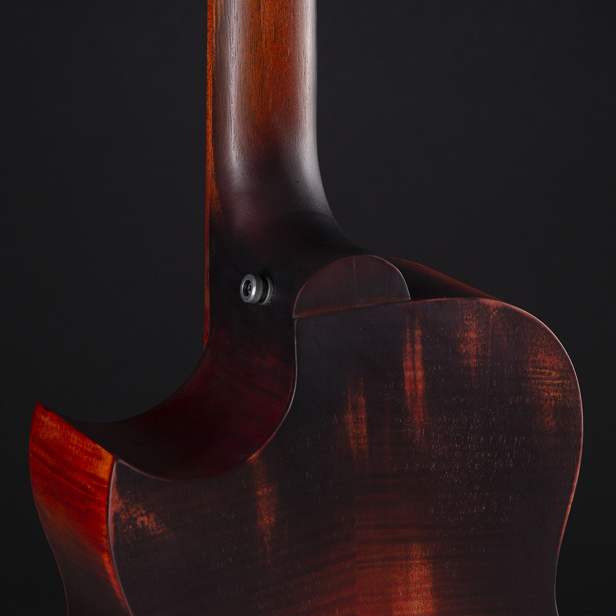 ortega-guitars-kt-walker-v2-ken-taylor-signature-basso-elettrico image 8