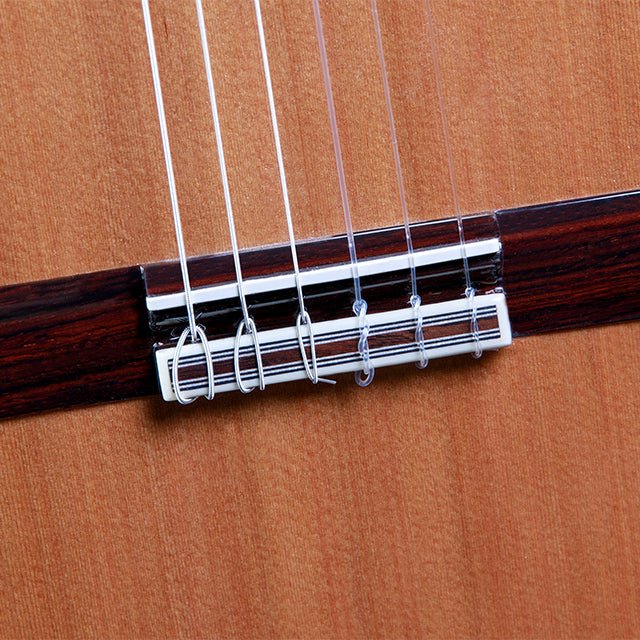 alhambra-guitarras-6-olivo-chitarra-classica image 4