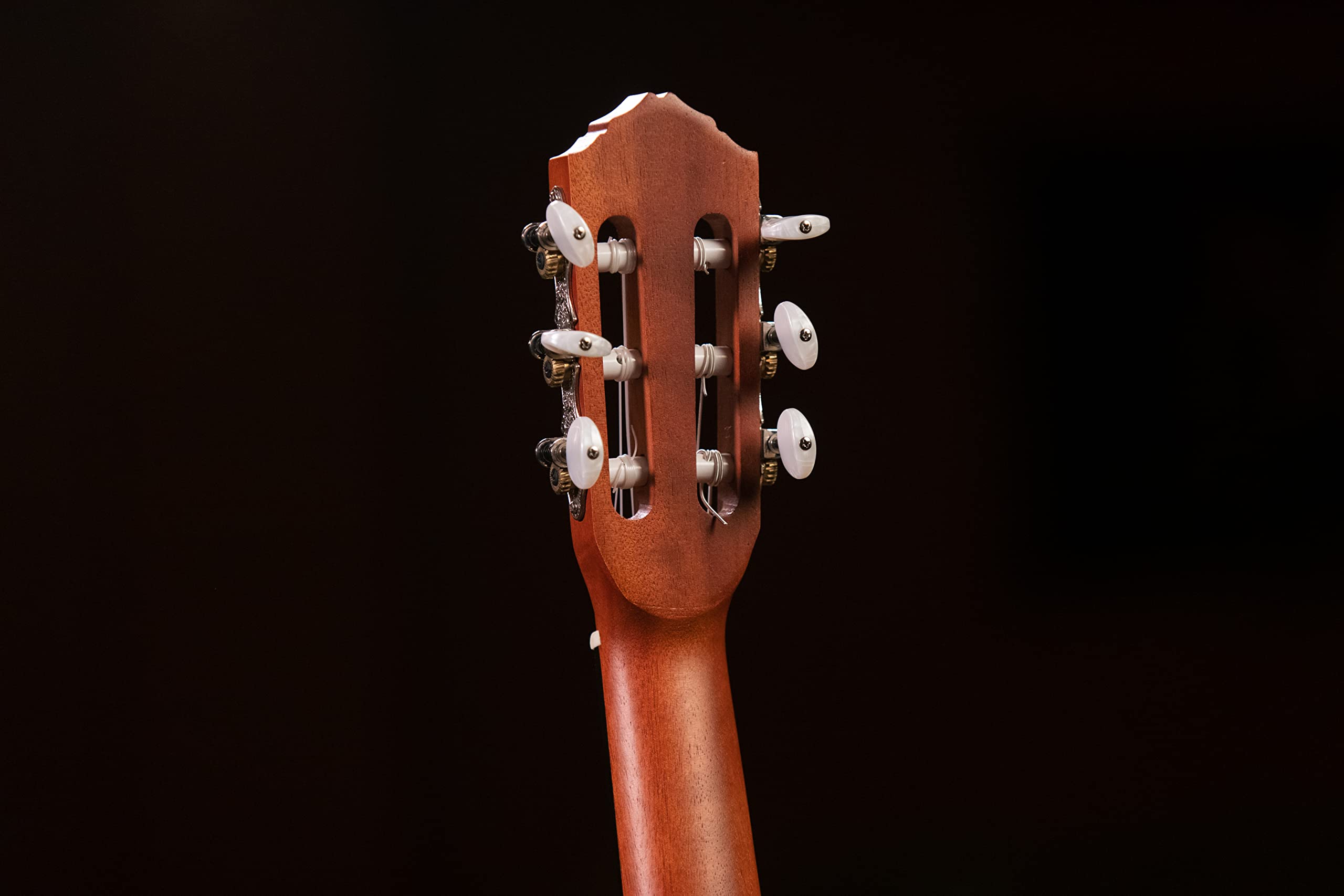 ortega-guitars-rgl5ce-guitarlele-elettroacustico-6-corde-top-in-abete-con-incisi image 8