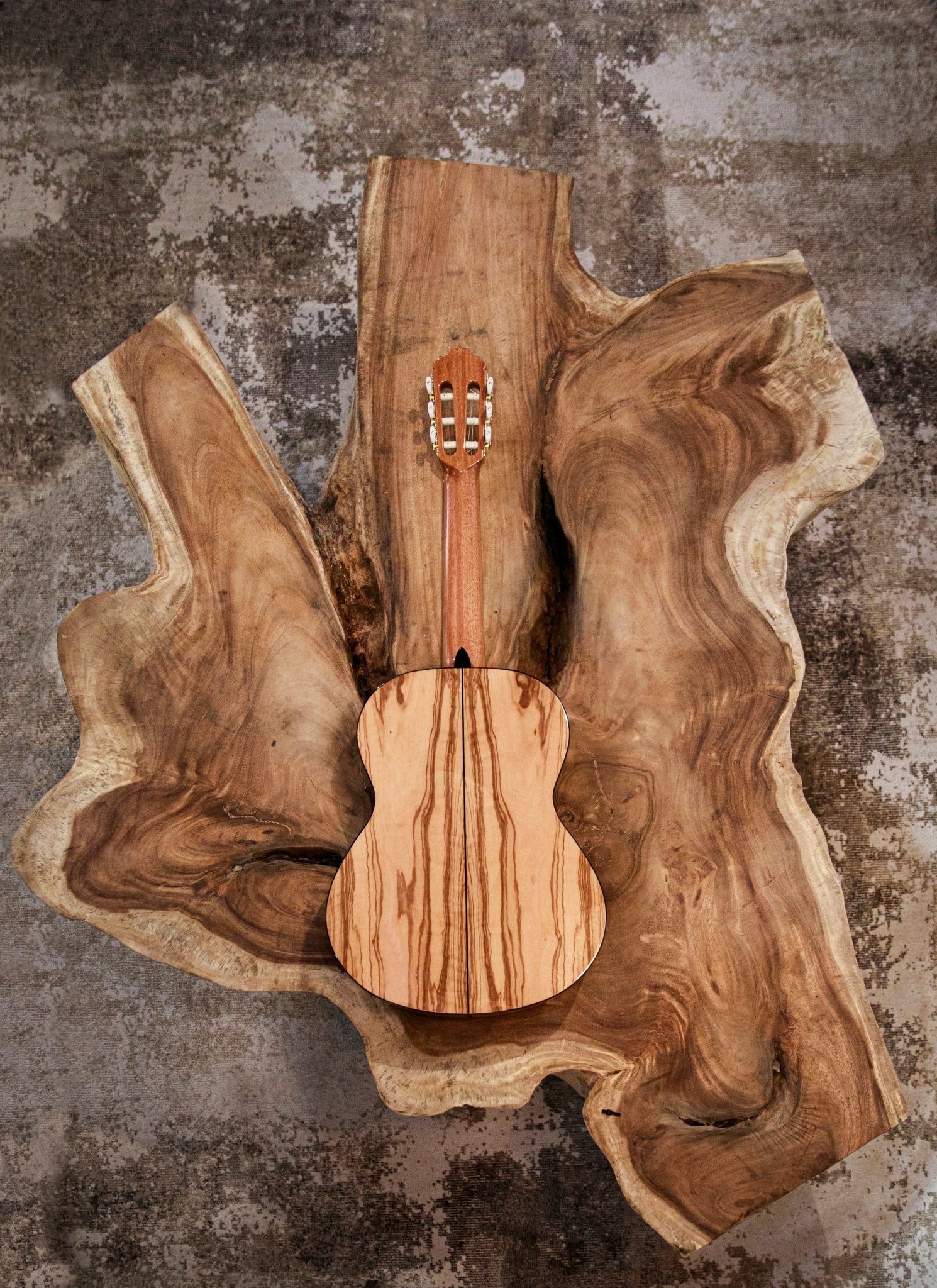 alhambra-guitarras-6-olivo-chitarra-classica image 6