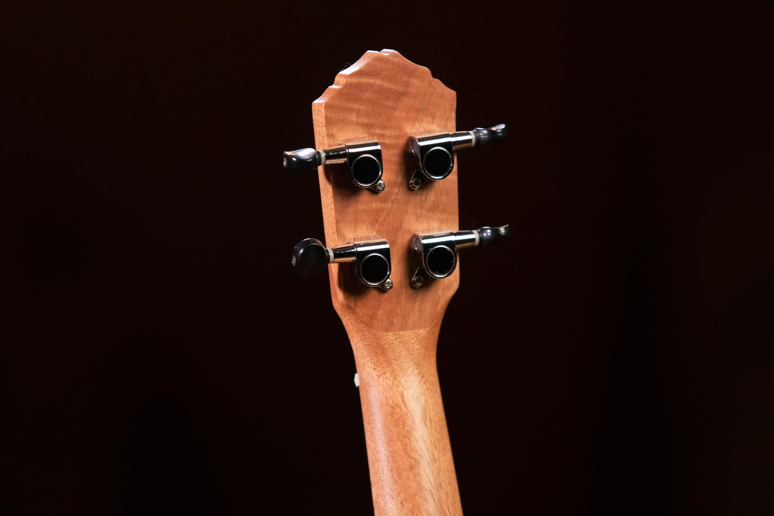 ortega-guitars-rfu10z-ukulele-soprano-zebrawood-natural-timber-series-con-borsa image 8
