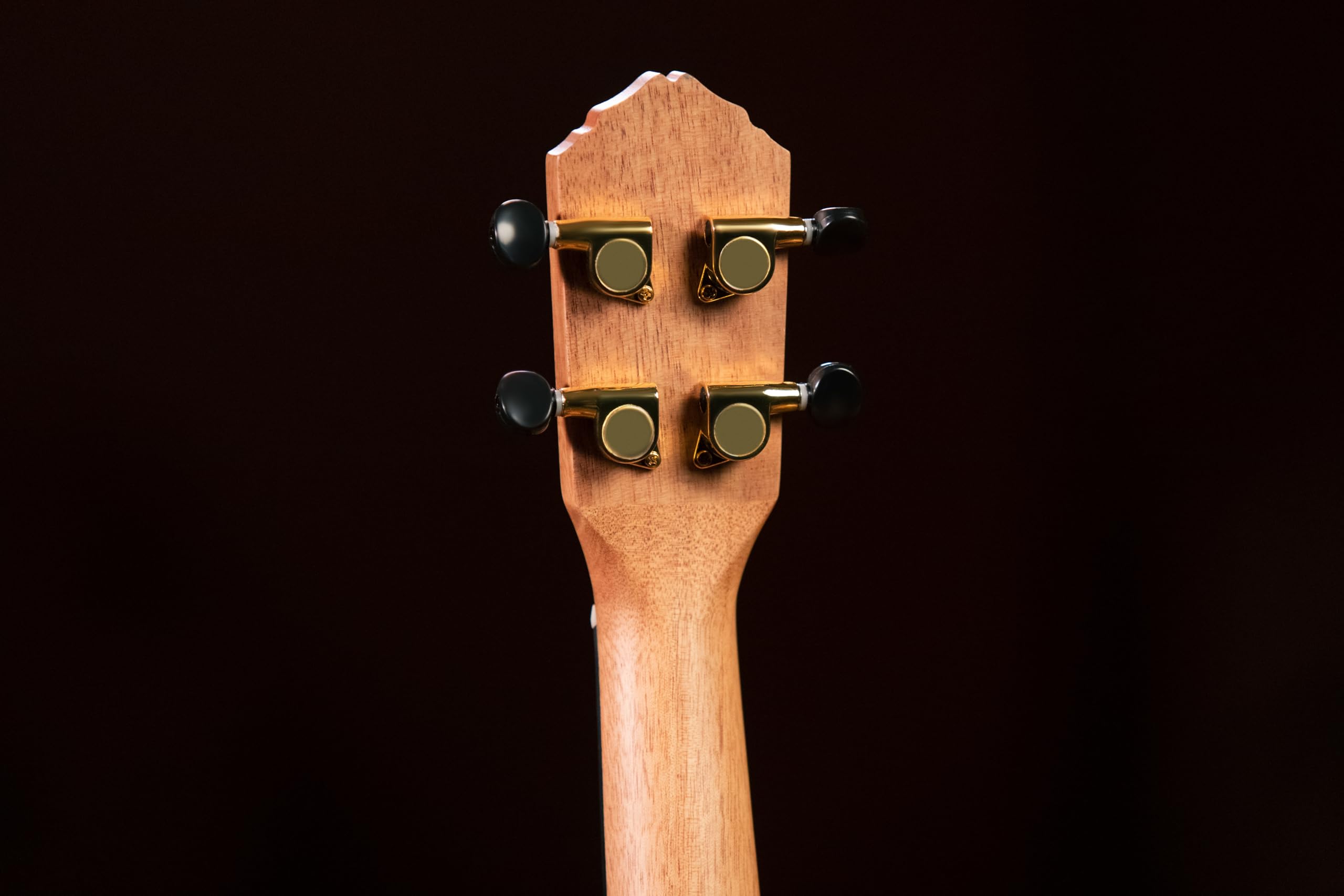 ortega-guitars-rueb-cc-ukulele-concerto-acustico-timber-series-in-ebano-natural- image 6