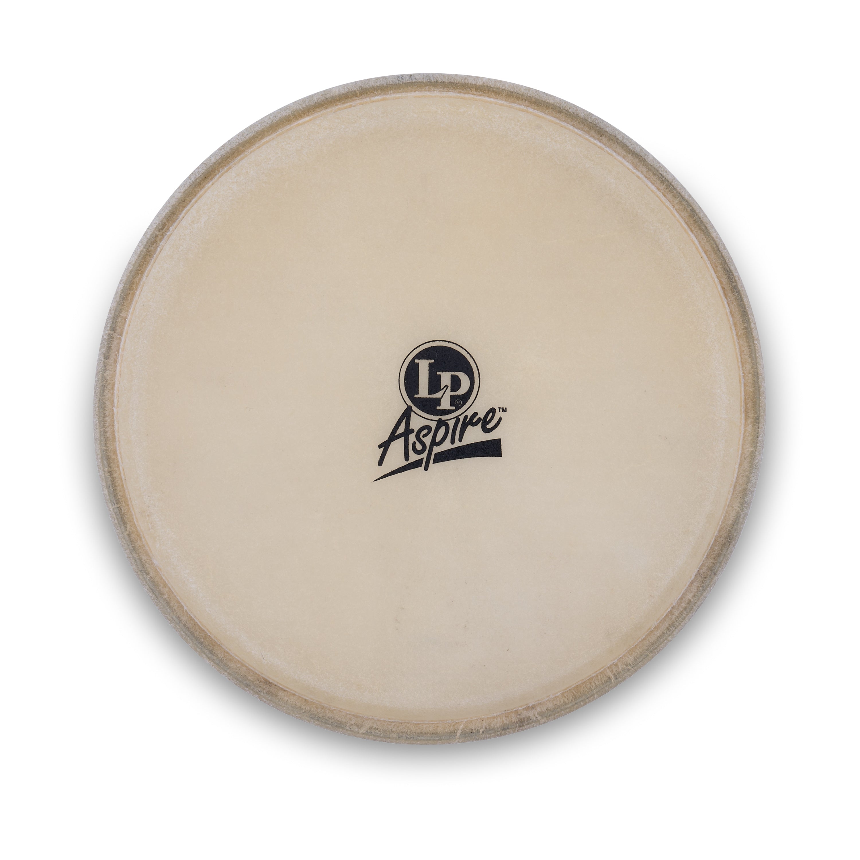 latin-percussion-aspire-bongo-head-8-pelle-ricambio-bongo image 1