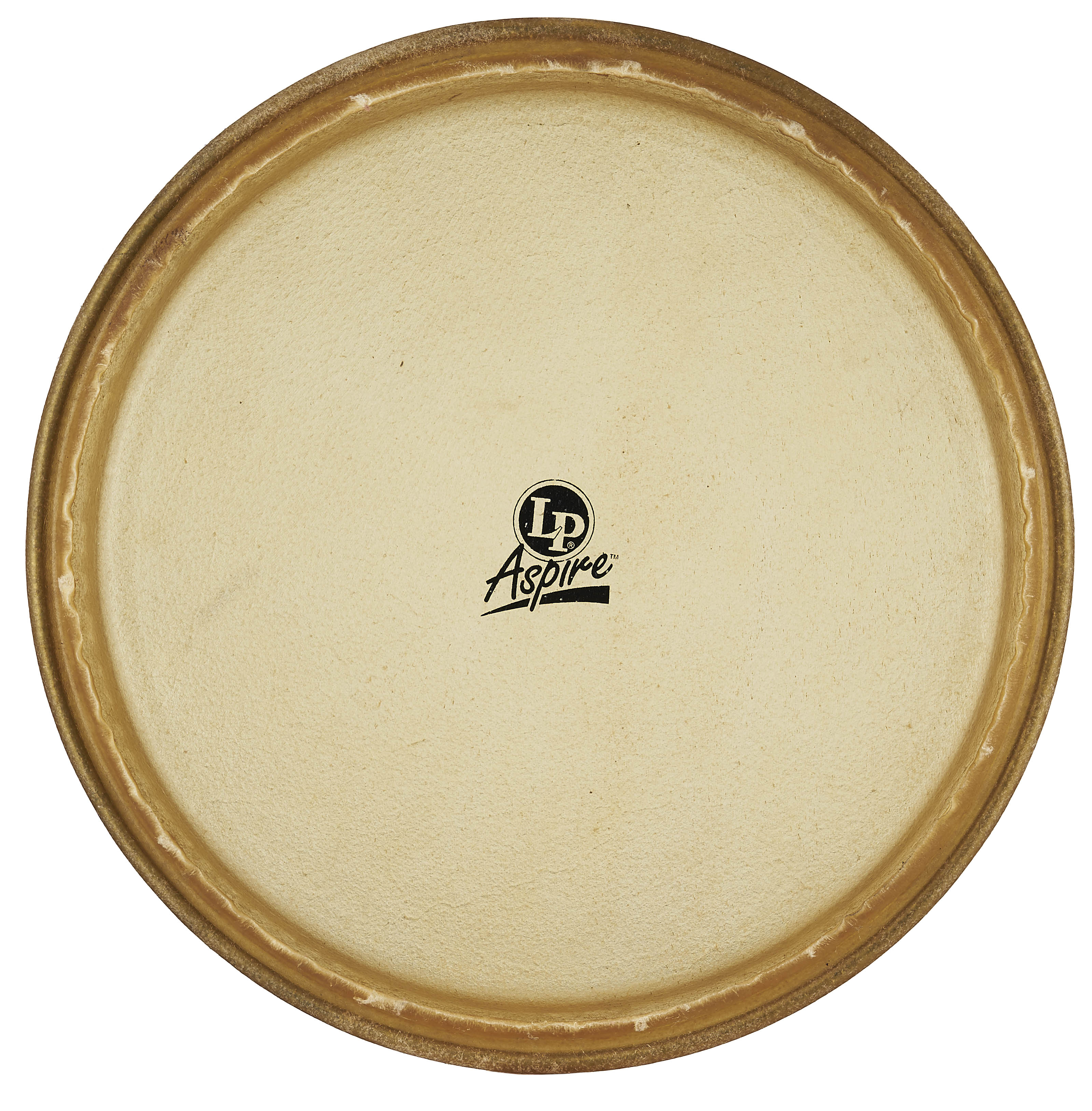 latin-percussion-tumba-12-pelle-di-ricambio-in-rawhide image 1
