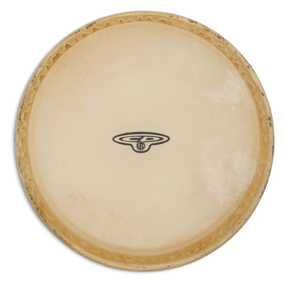 latin-percussion-small-bongo-head-f-cp221-pelle-6-rawhide image 1