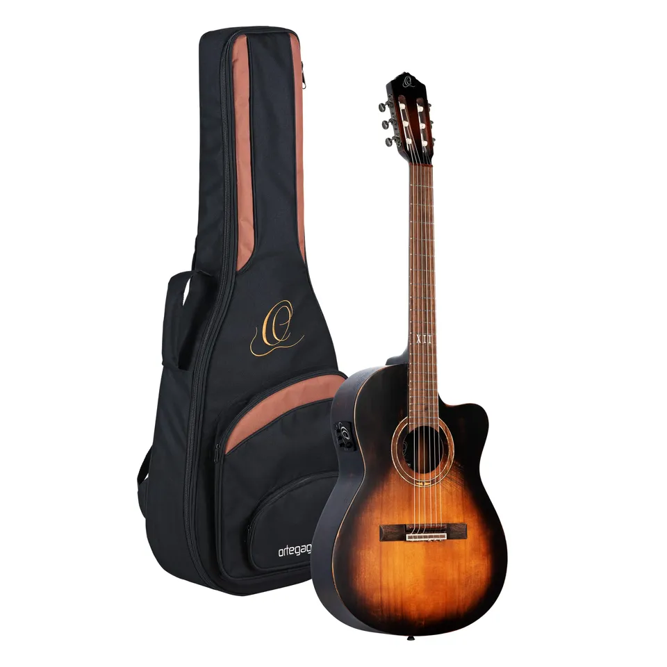 ortega-guitars-family-series-chitarra-thinline-body-elettroacustica image 1