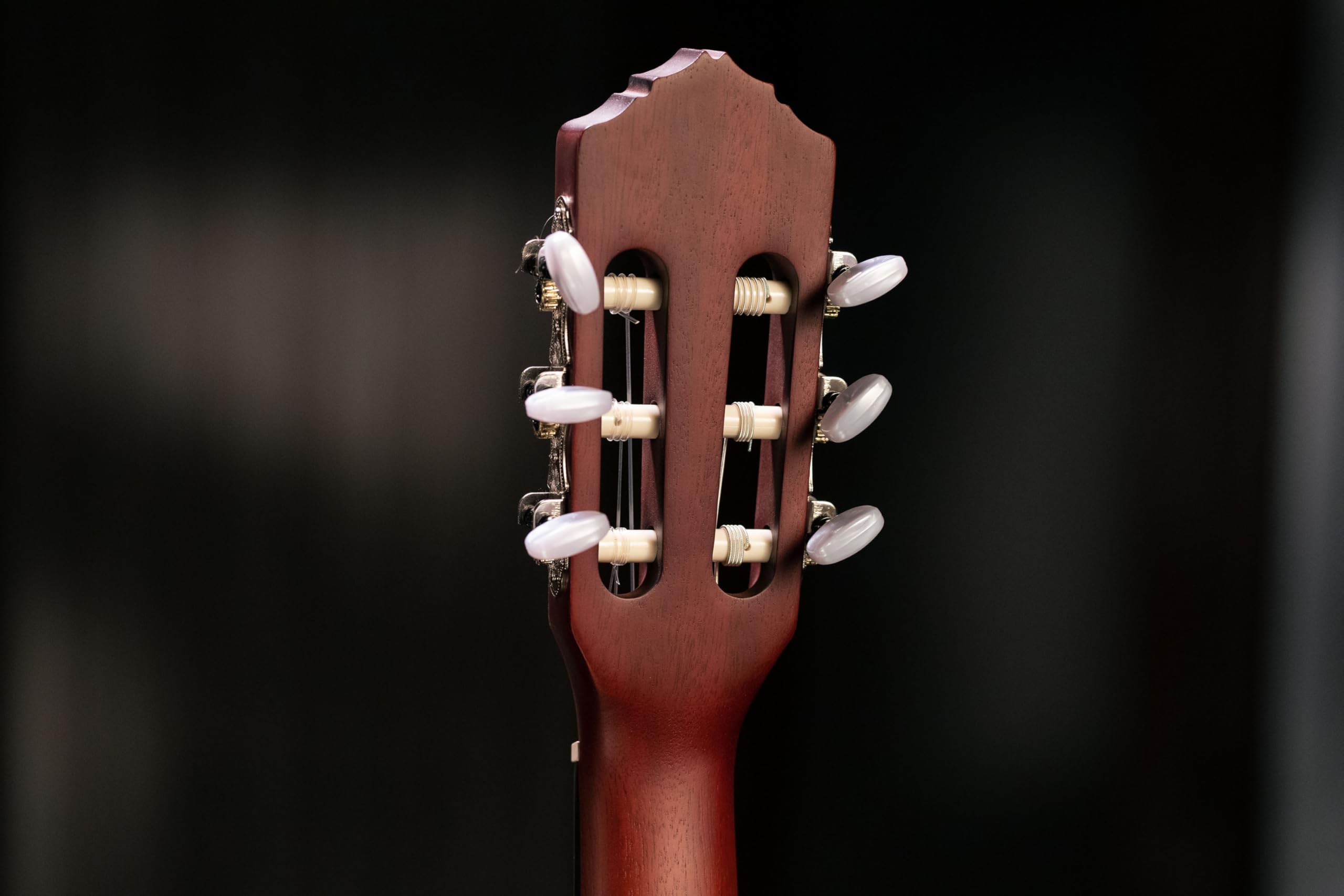 ortega-guitars-rce125mmsn-chitarra-classica-concerto-thinline-elettroacustica-ma image 8