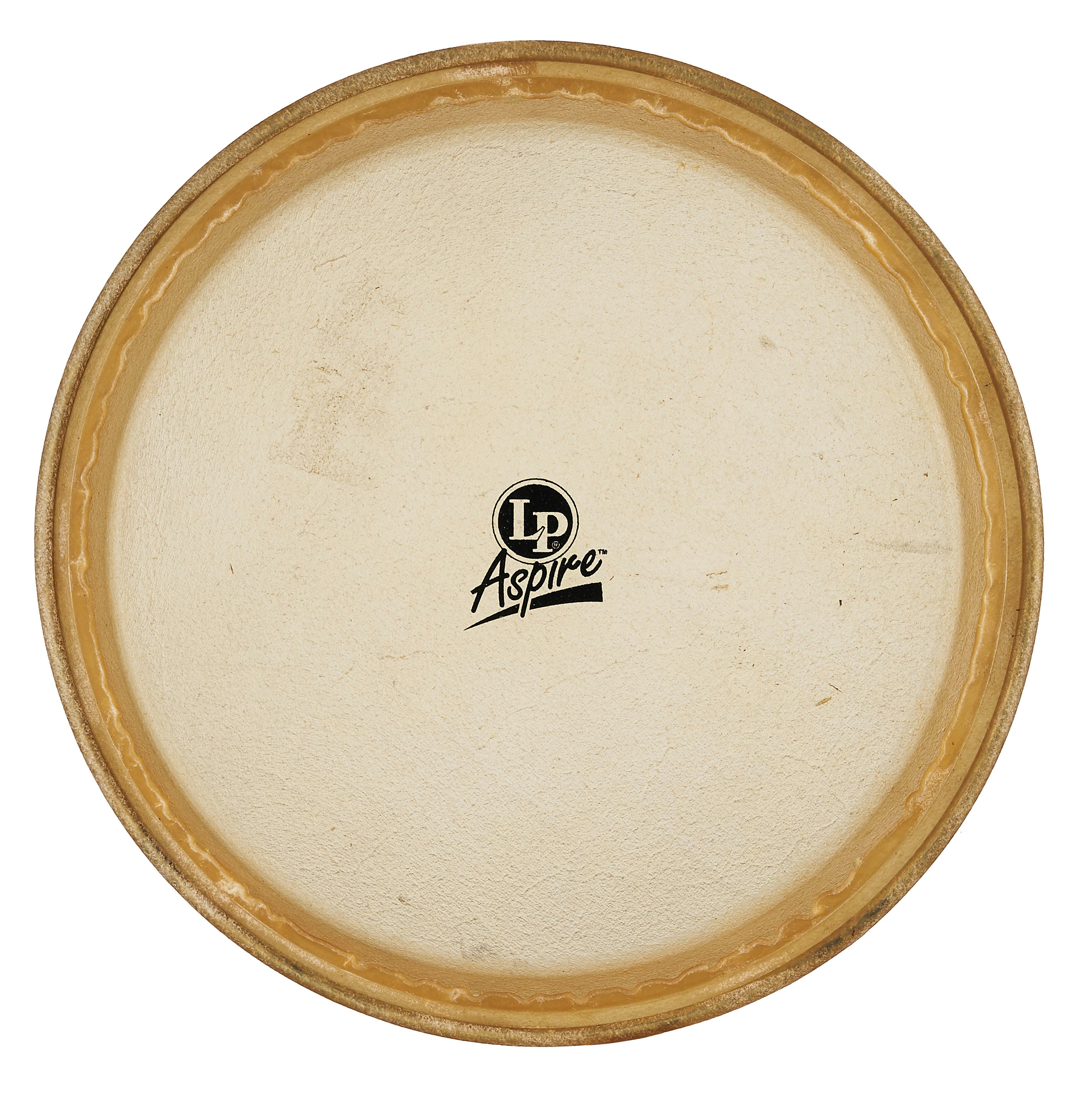 latin-percussion-pelle-ricambio-conga-11-pollici image 1