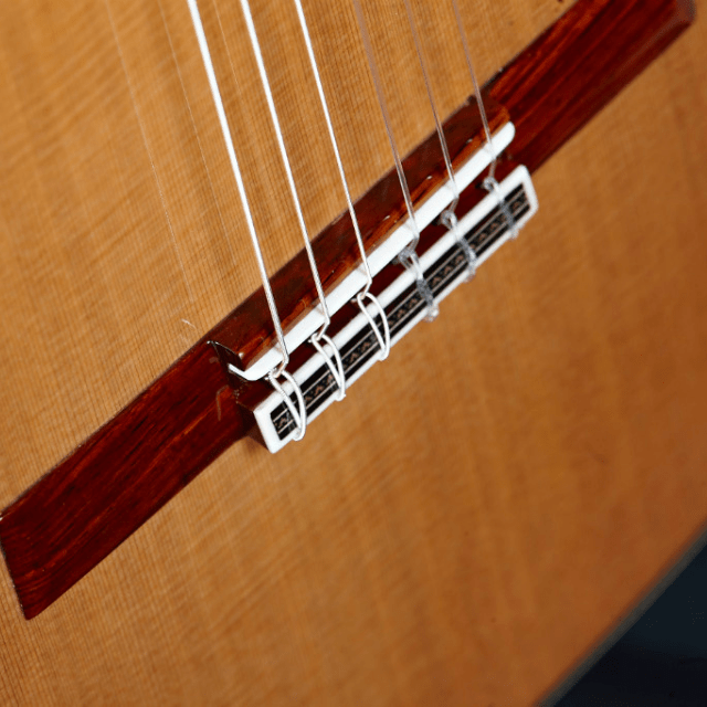 alhambra-guitarras-linea-professionale-chitarra-classica-da-concerto image 7
