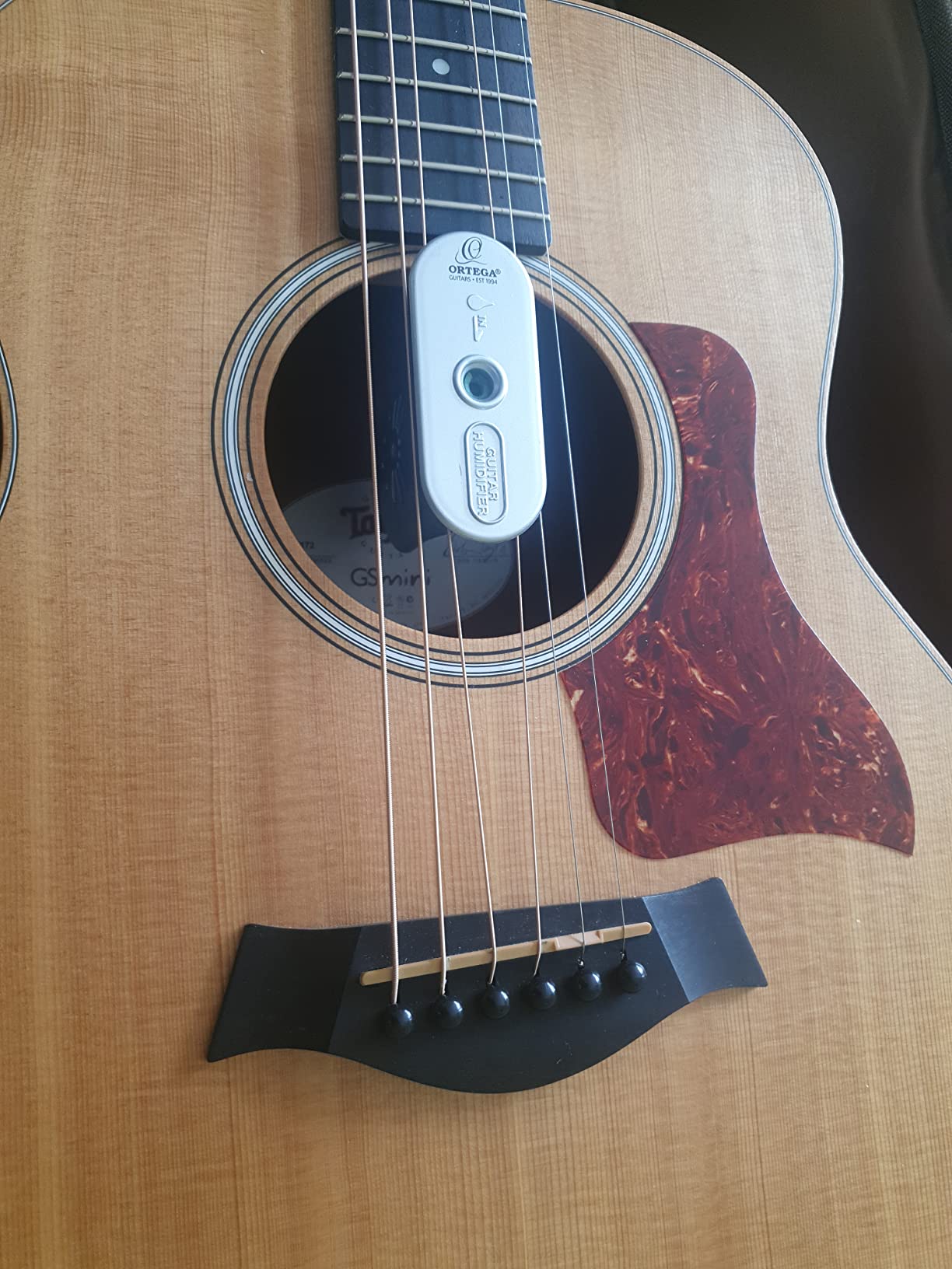 Piccolo ma salva chitarra