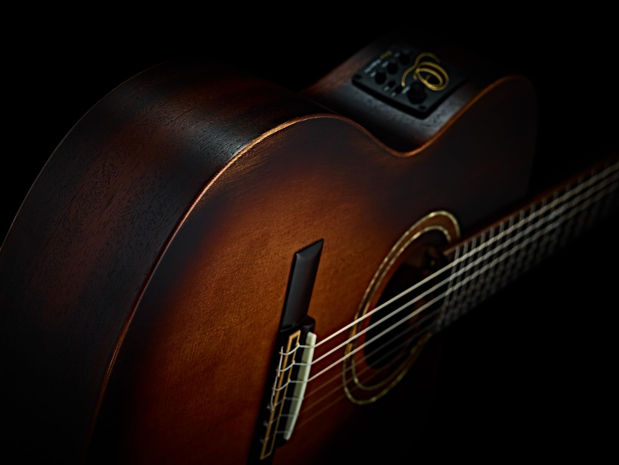 ortega-guitars-family-series-chitarra-thinline-body-elettroacustica image 8
