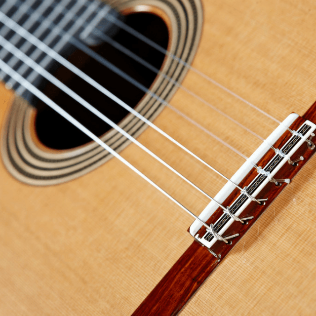 alhambra-guitarras-linea-professionale-chitarra-classica-da-concerto image 6