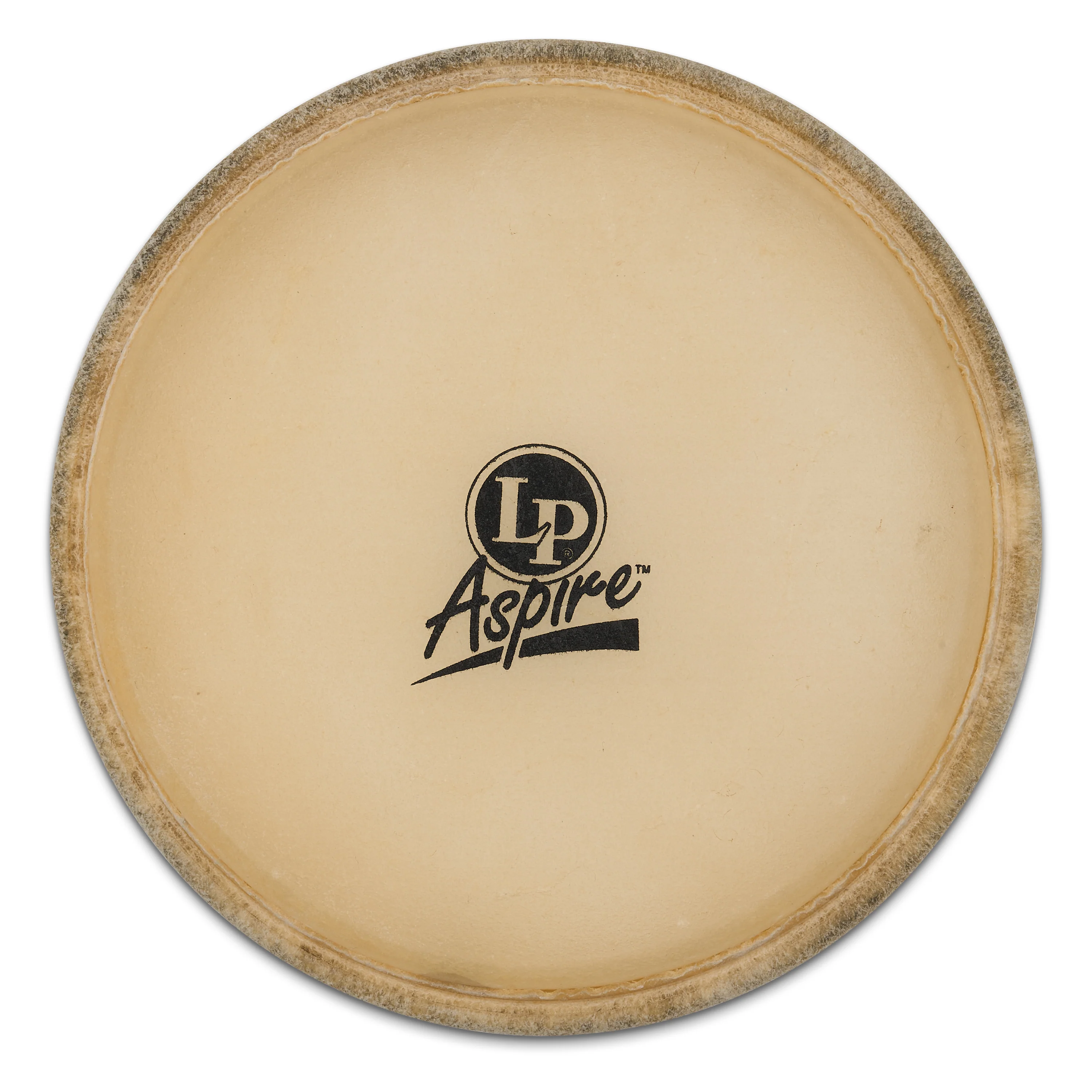latin-percussion-aspire-pelli-bongo-6-3-4 image 2