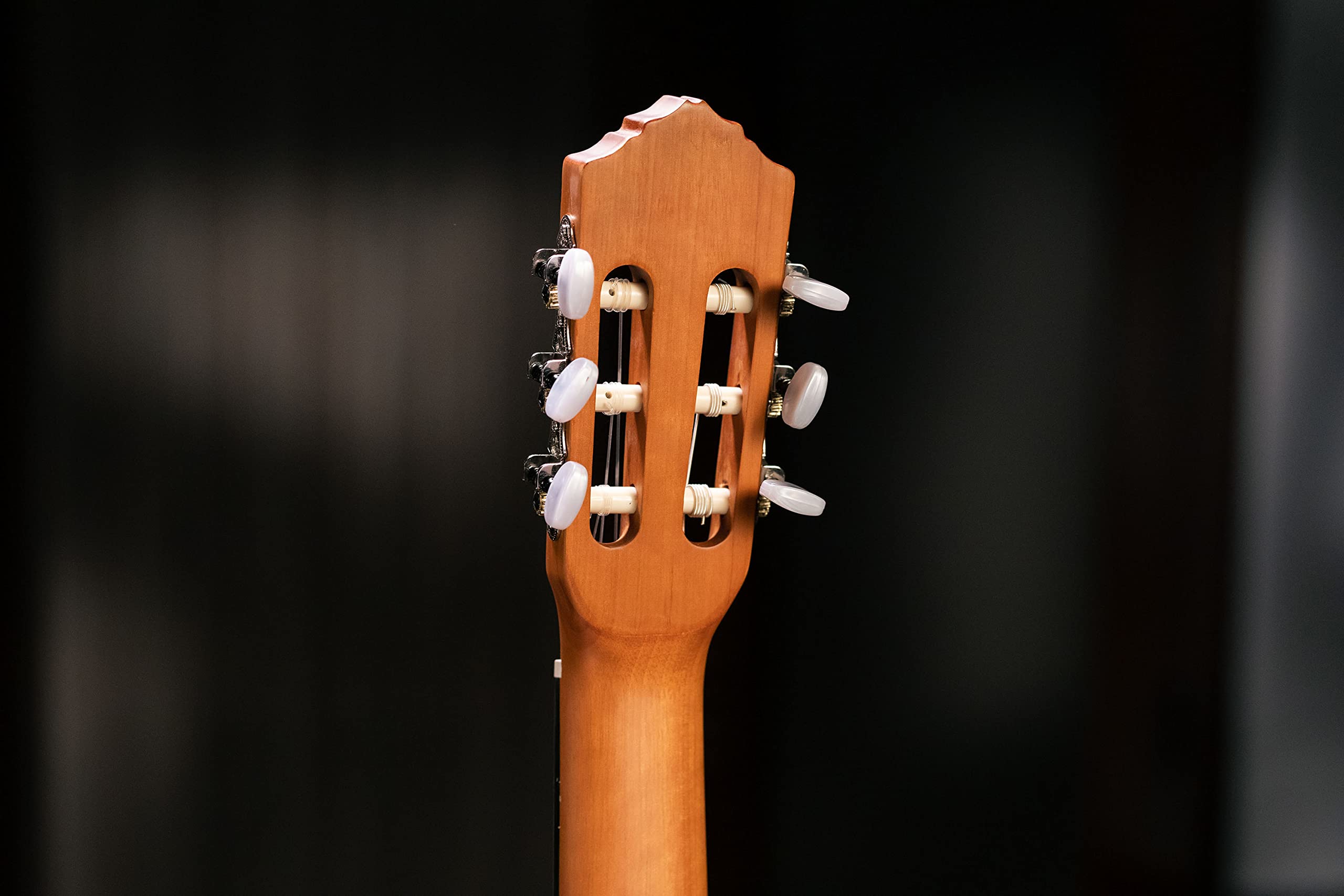 ortega-guitars-r122-chitarra-classica-4-4-cedro-mogano-con-gig-bag image 8