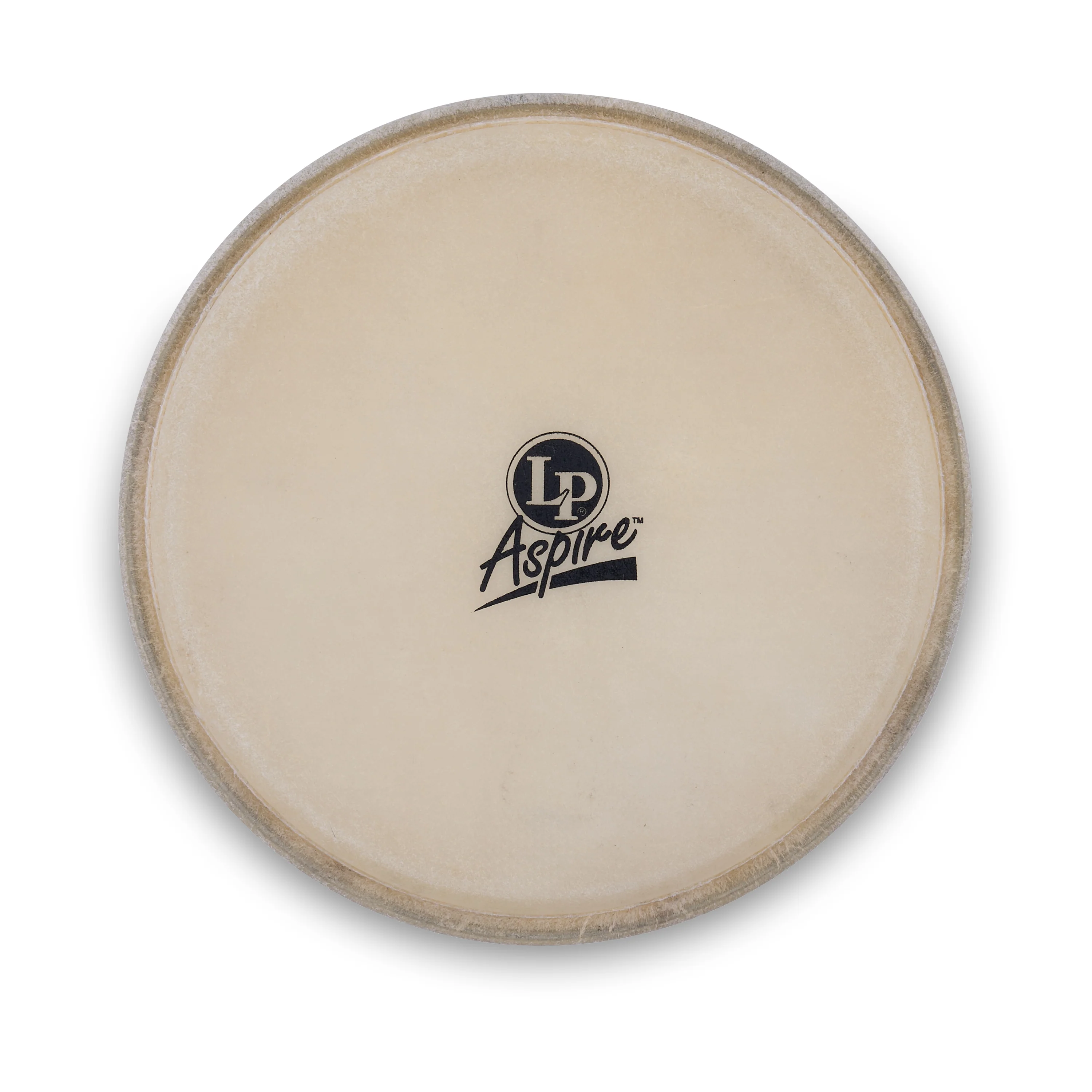 latin-percussion-aspire-bongo-head-8-pelle-ricambio-bongo image 2
