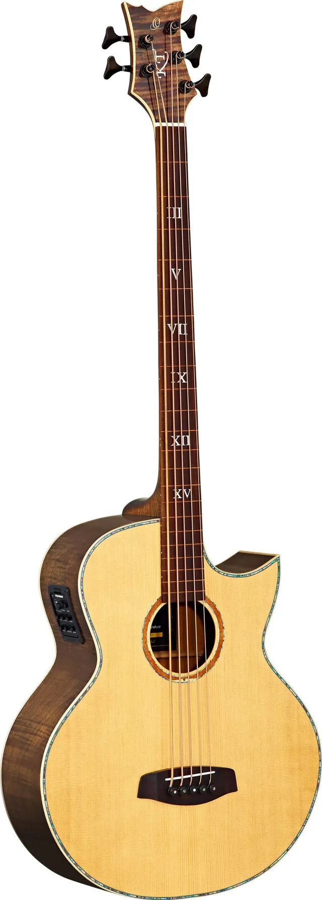 ortega-guitars-ktsm-5fl-ken-taylor-basso-acustico-5-corde-fretless-naturale-luci image 1