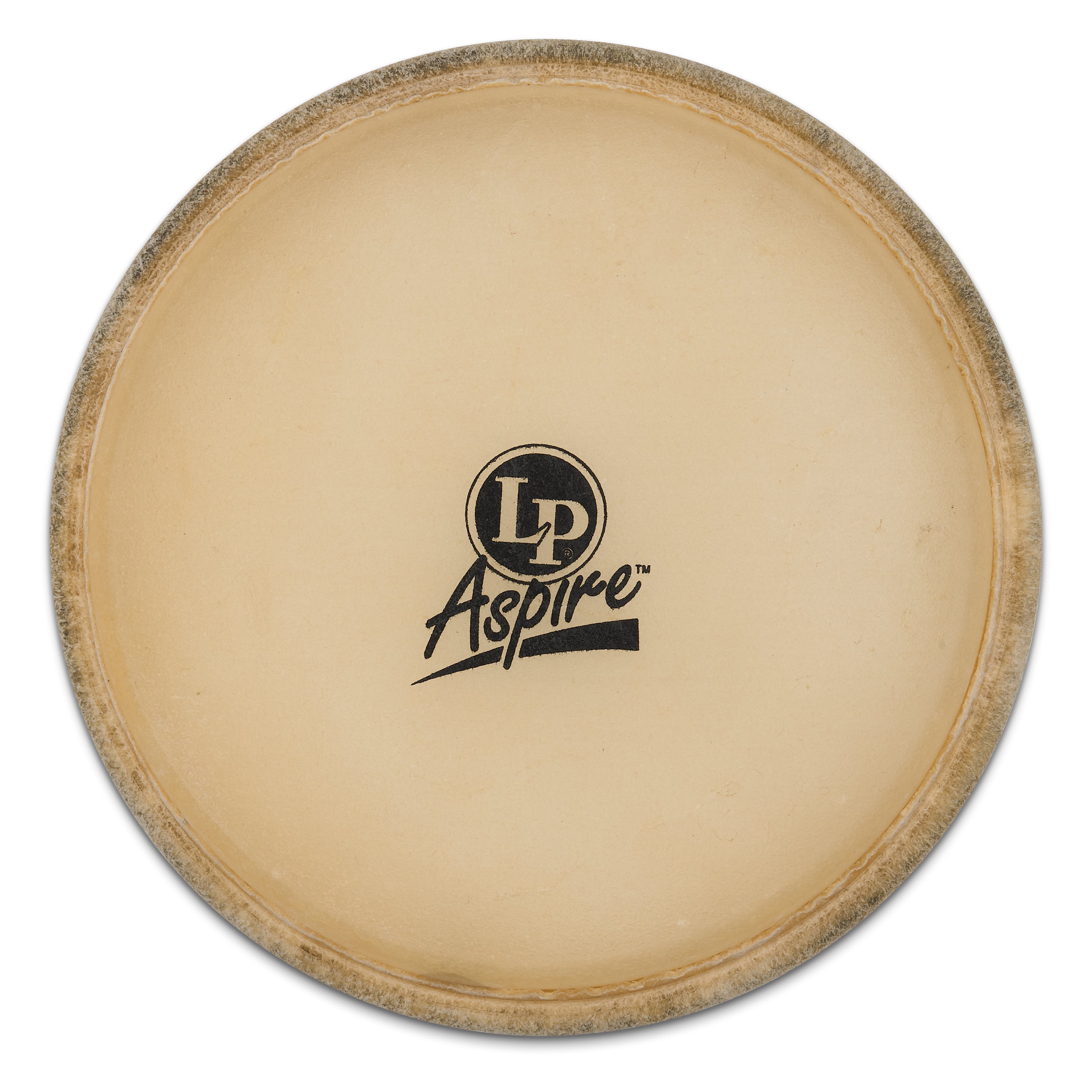 latin-percussion-aspire-pelli-bongo-6-3-4 image 1