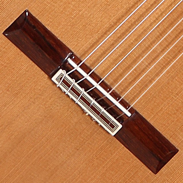 alhambra-guitarras-premier-pro-madagascar-chitarra-classica-professionale image 5