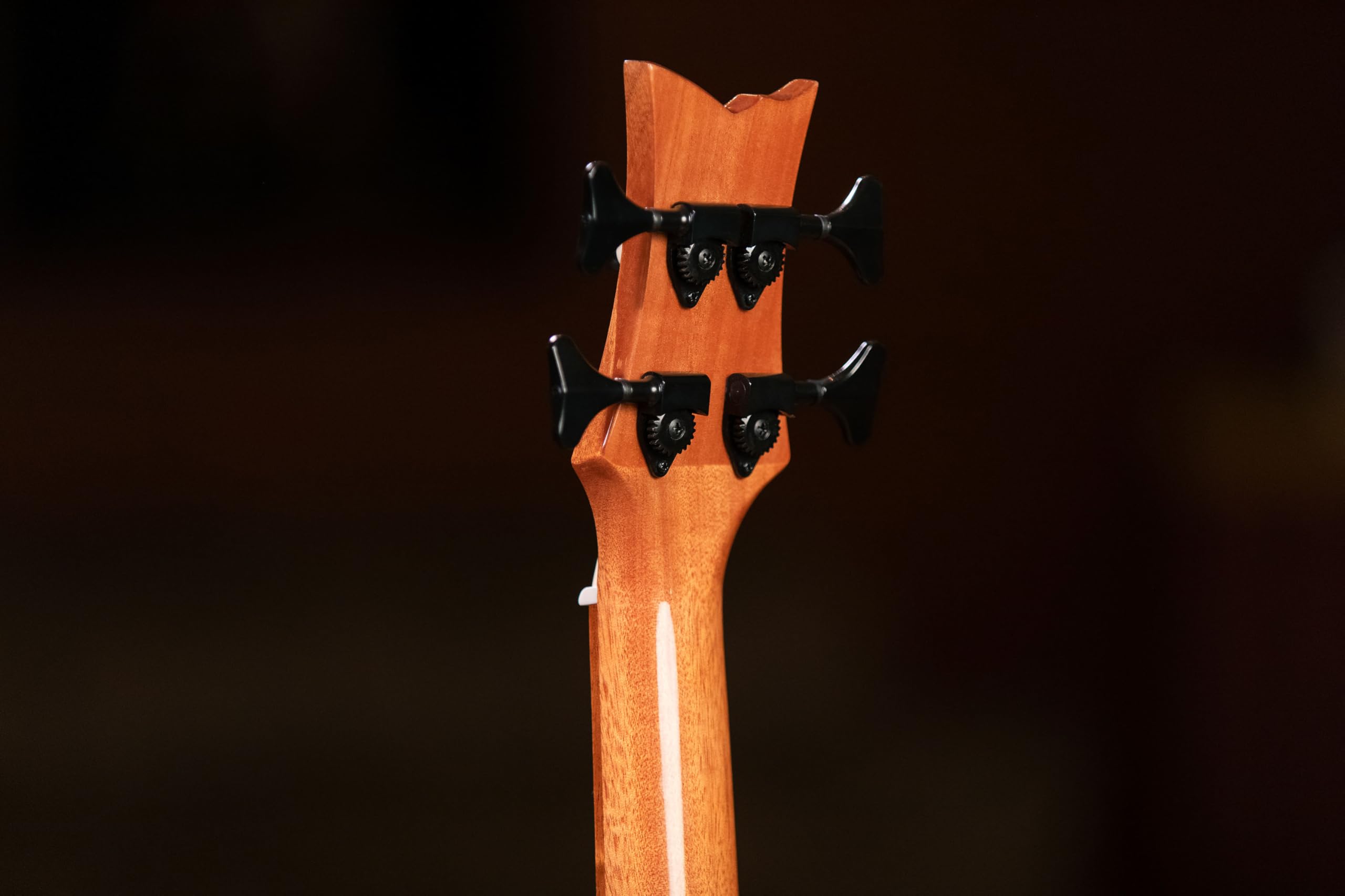ortega-guitars-lizard-series-caiman-bs-gb-u-bass-elettro-acustico-con-gigbag image 7