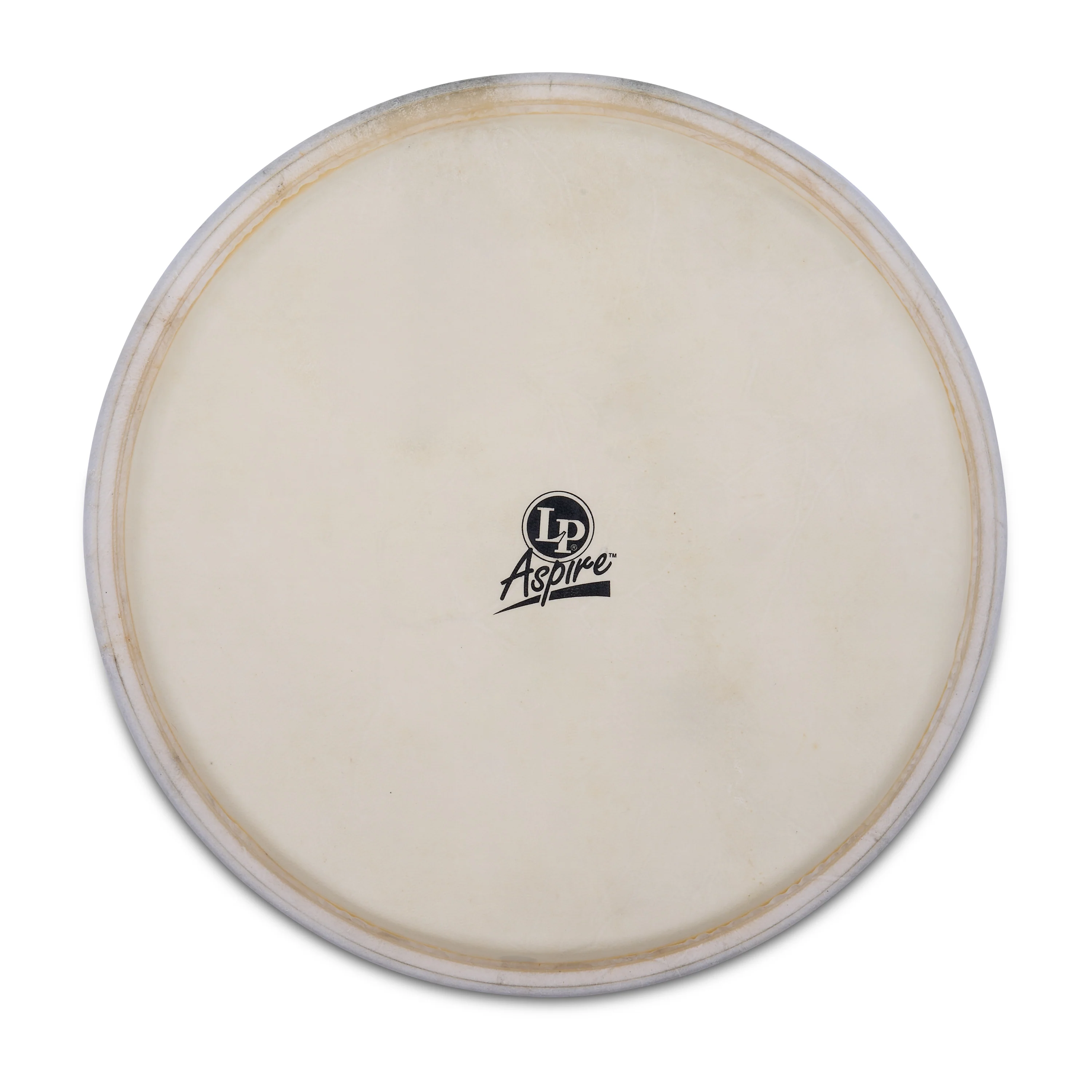 latin-percussion-pelle-ricambio-djembe-12-5-pollici image 2