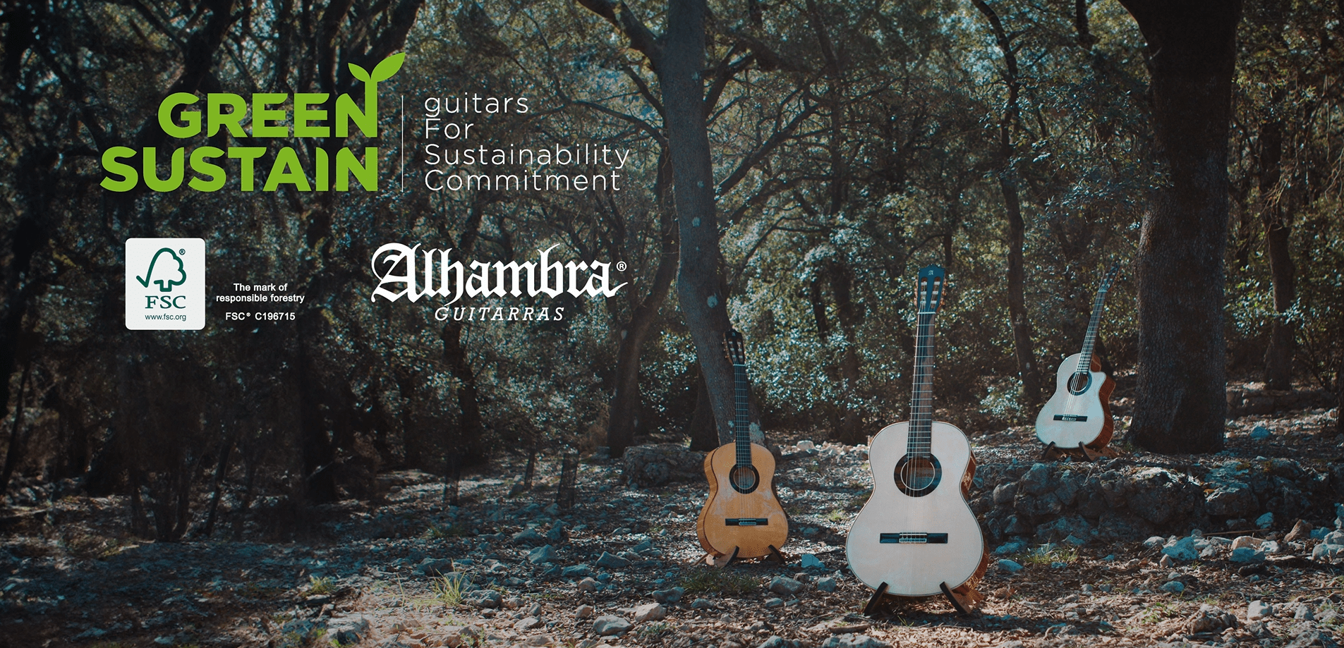 alhambra-guitarras-gs-flamenco-green-sustain-chitarra-flamenca image 8