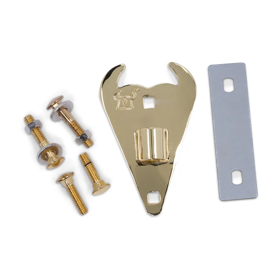 latin-percussion-matador-conga-side-plate-gold image 1