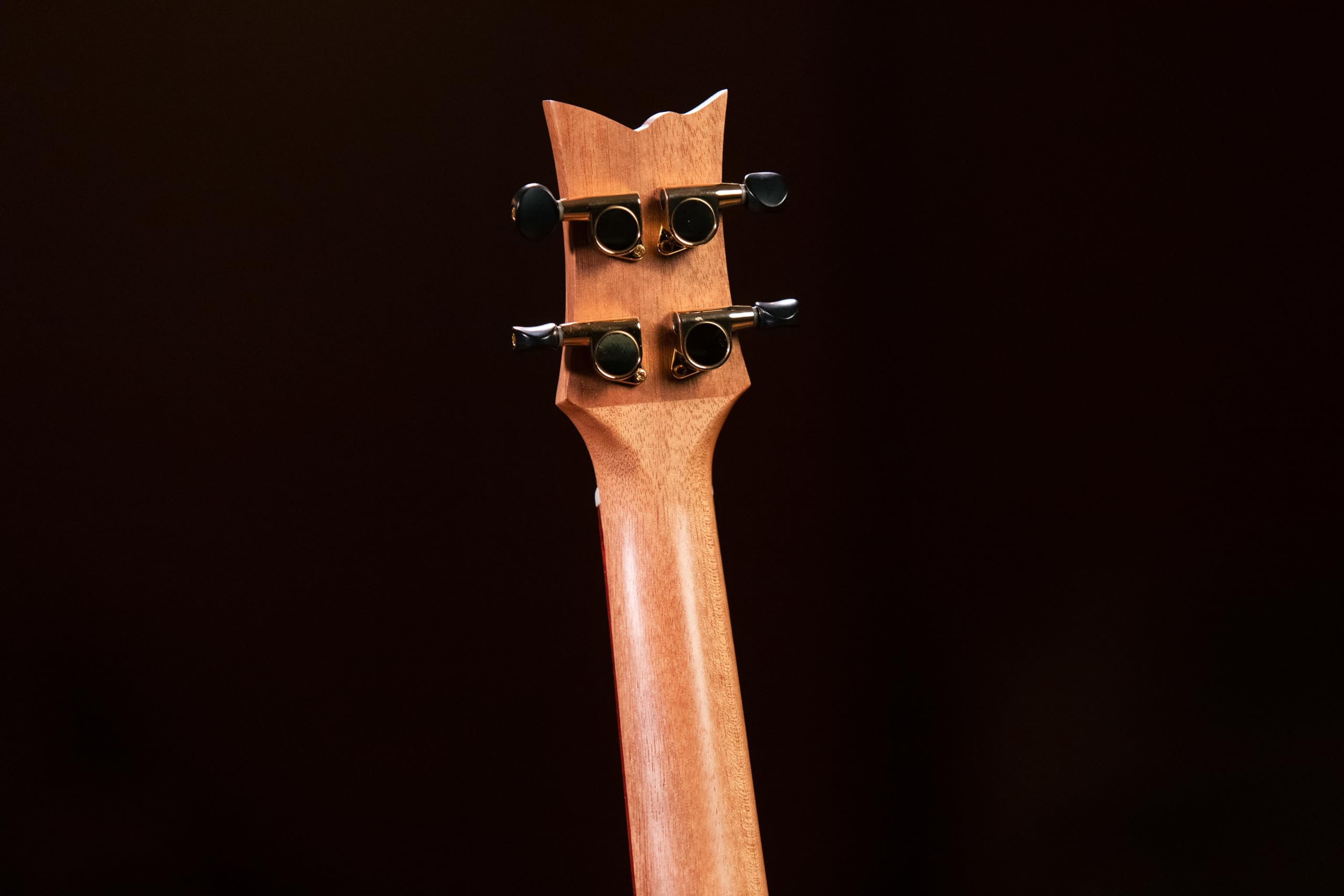 ortega-guitars-ruaca-cc-ukulele-concerto-acacia-con-borsa image 8
