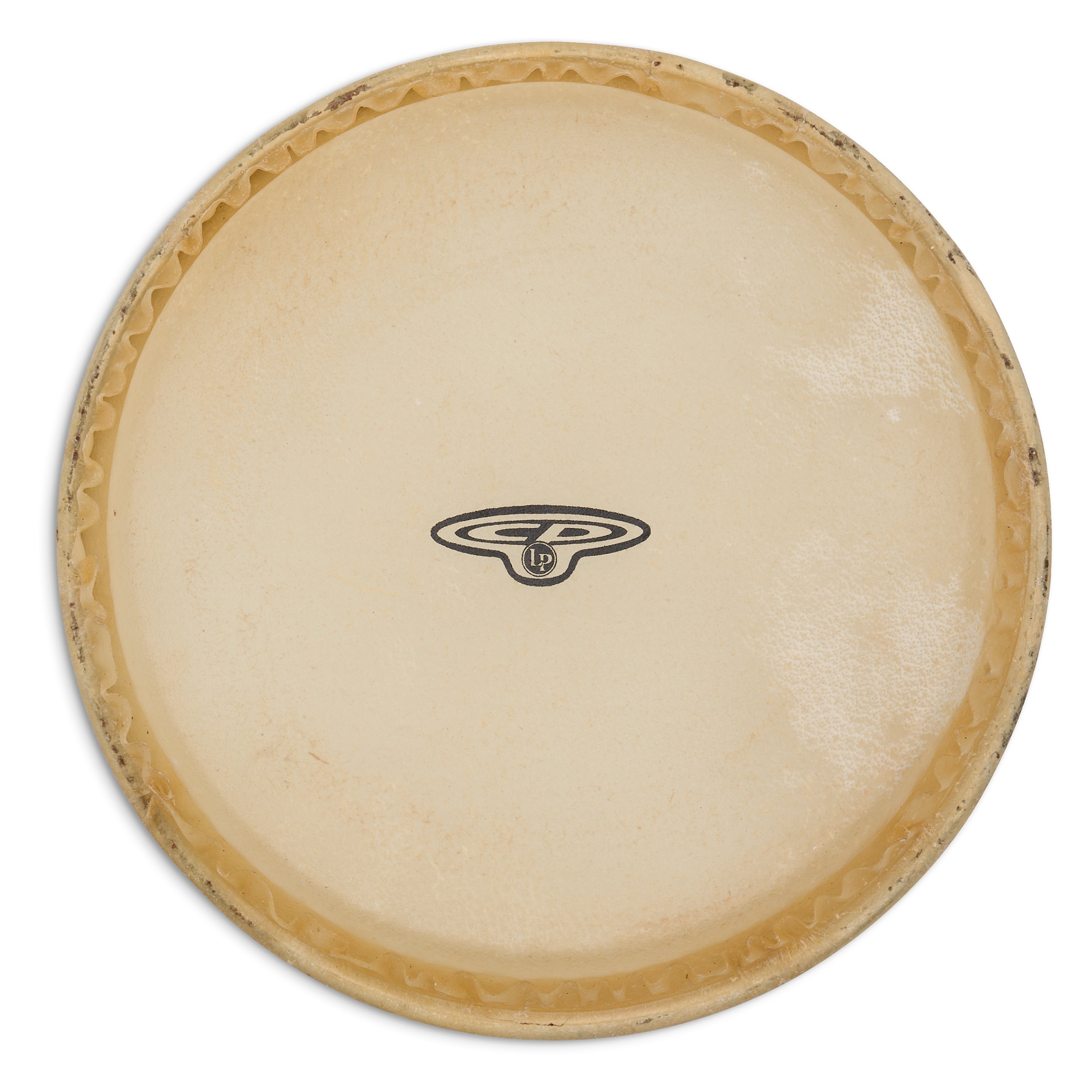 latin-percussion-small-bongo-head-f-cp221-pelle-6-rawhide image 1