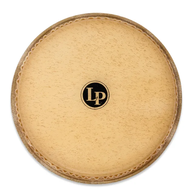 latin-percussion-dandy-testa-bongo-9 image 1