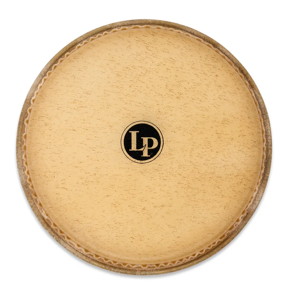 latin-percussion-dandy-testa-bongo-9 image 1