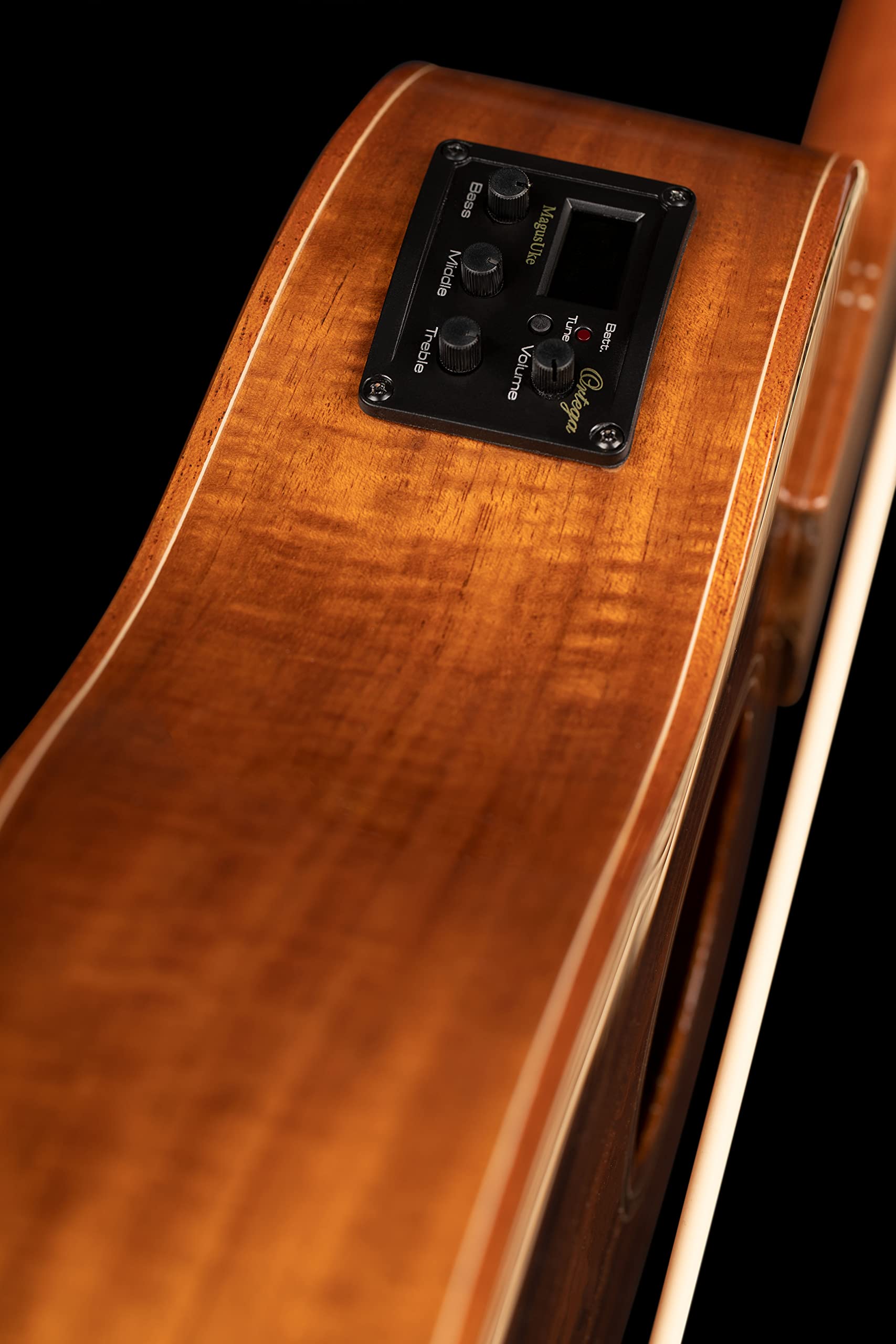 ortega-guitars-lizard-series-caiman-fl-gb-u-bass-fretless-con-gigbag image 4