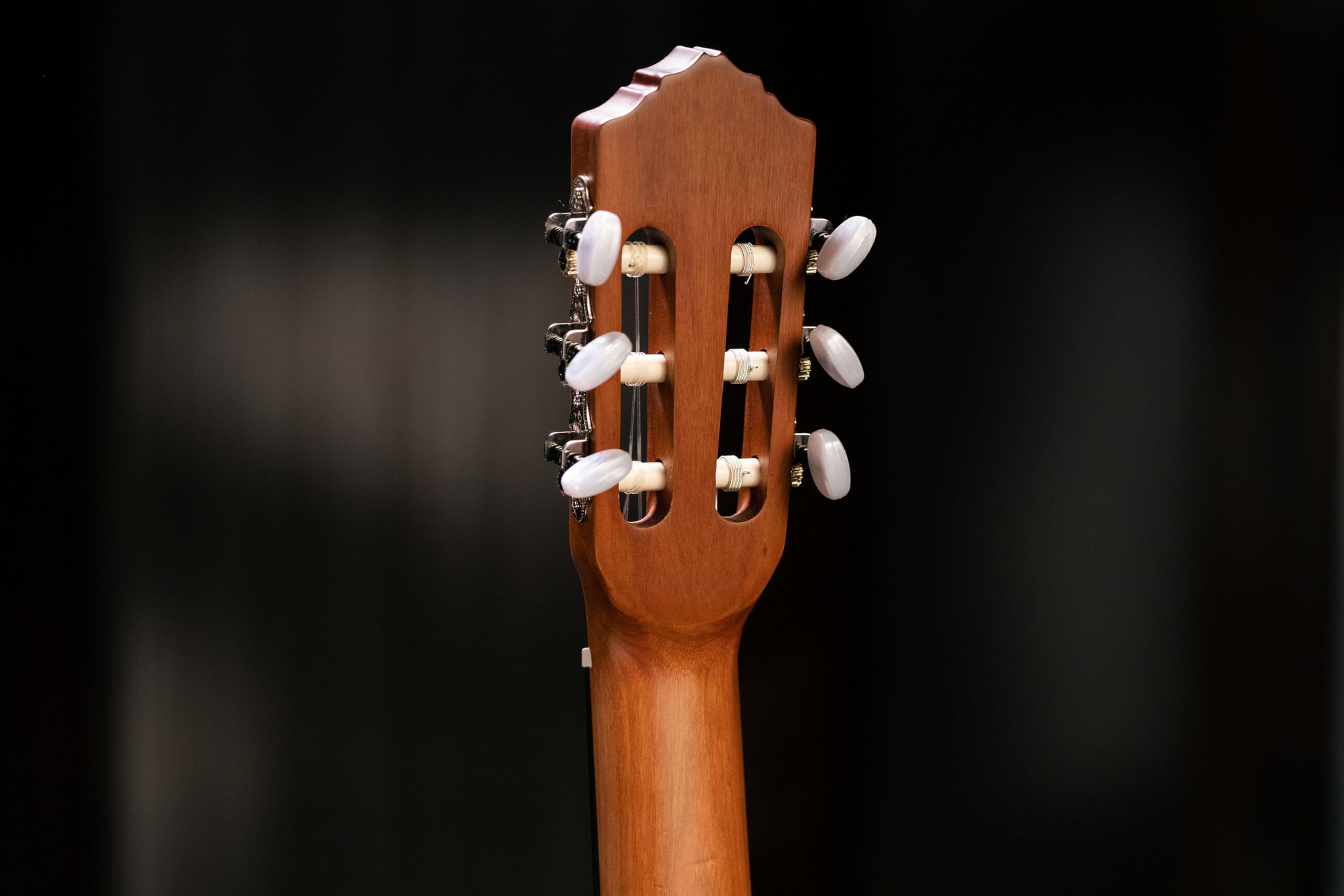 ortega-guitars-family-series-r121-chitarra-classica-concerto-full-size-mogano-ab image 7