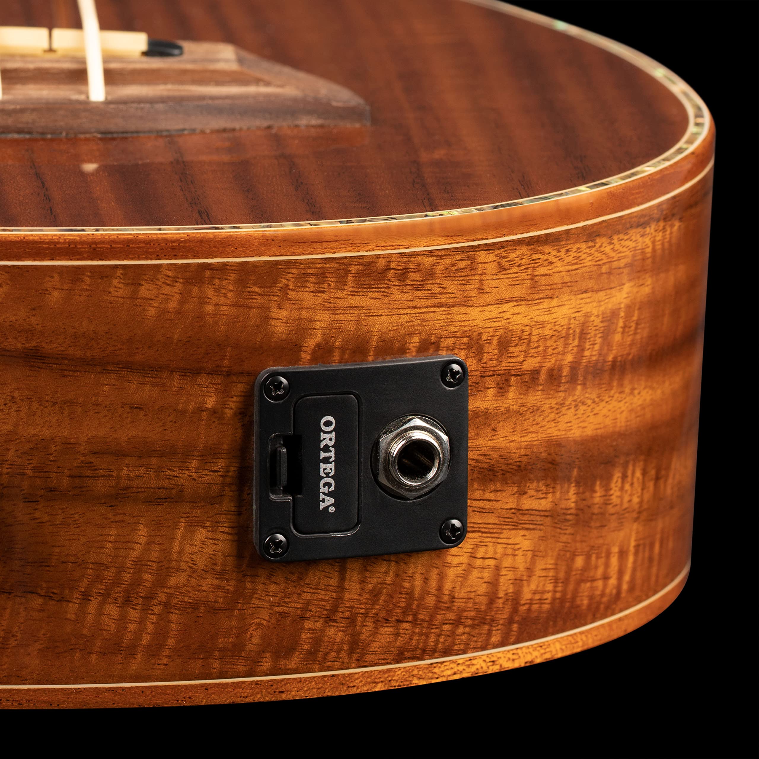 ortega-guitars-lizard-series-caiman-fl-gb-u-bass-fretless-con-gigbag image 6