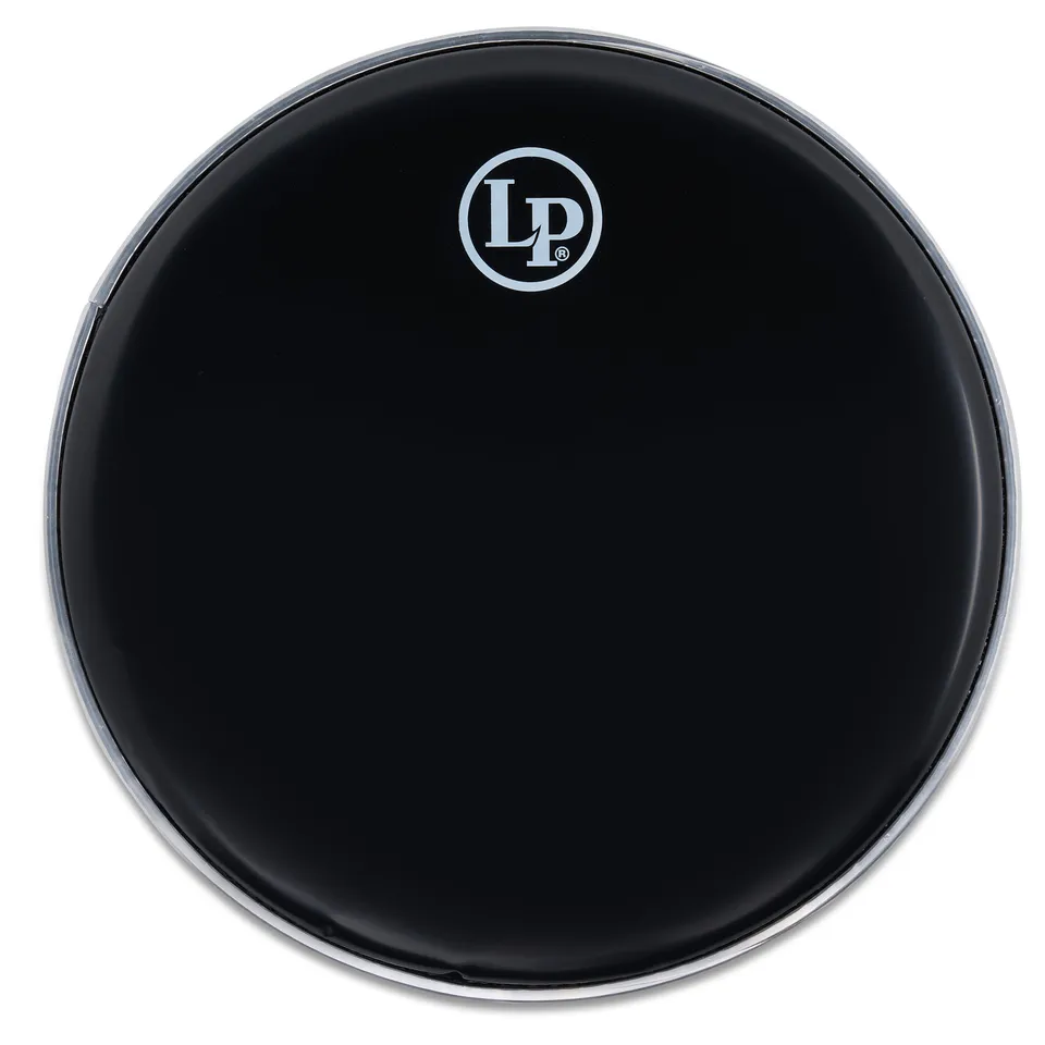 latin-percussion-black-head-per-cp3010-pandeiro-10-pelle-di-ricambio image 1