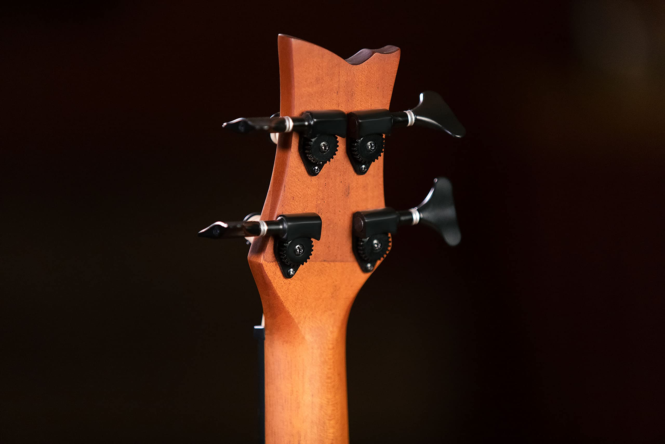 ortega-guitars-lizard-series-lizzy-pro-uke-bass-travel-fretless-elettro-acustico image 7