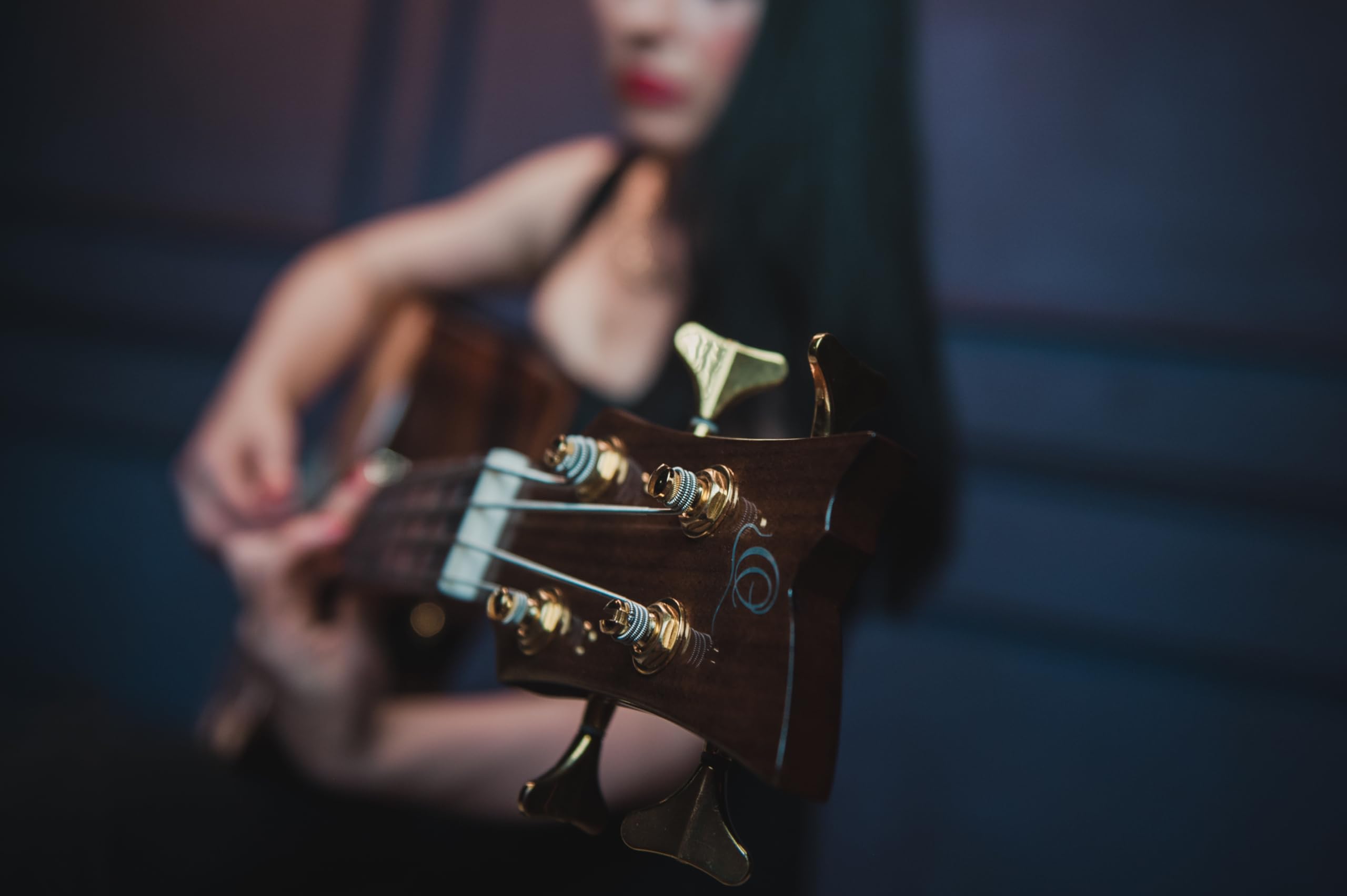 ortega-guitars-private-room-basso-acustico-4-corde-elettro-acustico-kit image 8