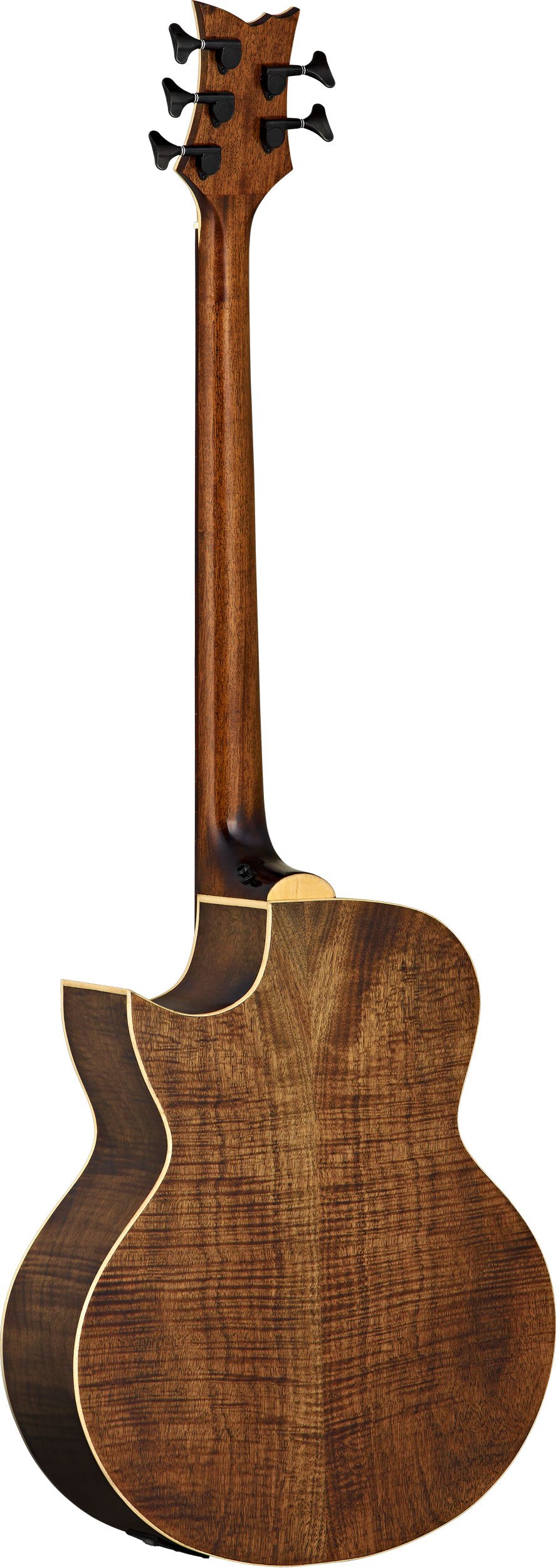 ortega-guitars-ktsm-5fl-ken-taylor-basso-acustico-5-corde-fretless-naturale-luci image 2