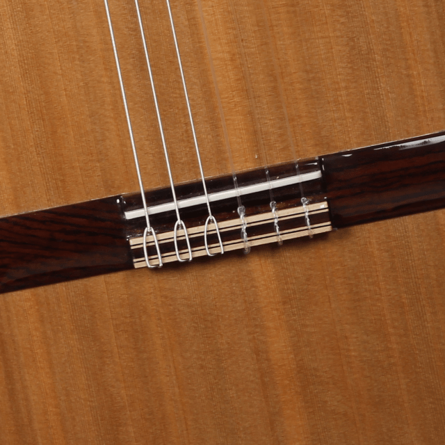 alhambra-guitarras-iberia-ziricote-chitarra-classica image 4