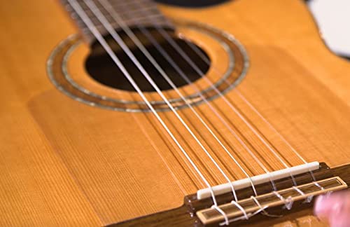 ortega-guitars-opg-flam2-battipenna-flamenco-trasparente-permanente image 7