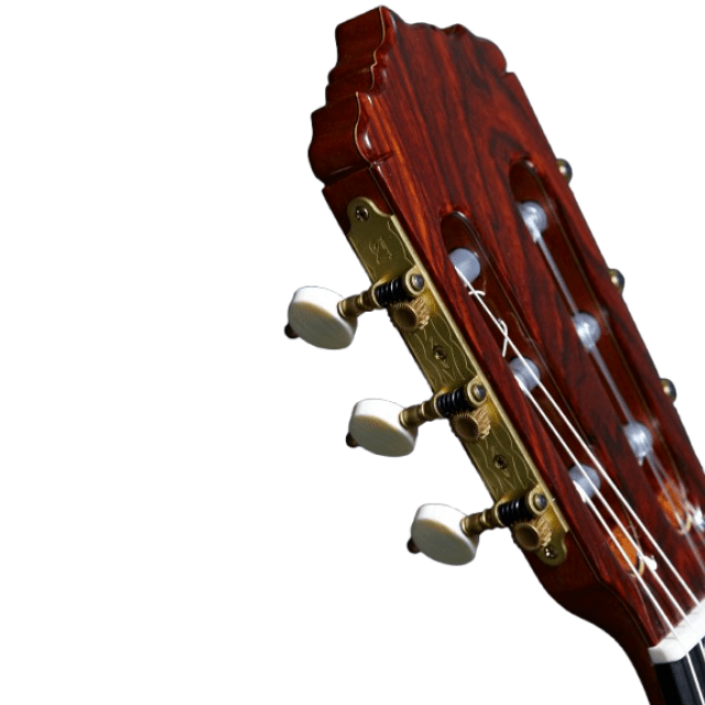 alhambra-guitarras-linea-professionale-chitarra-classica-da-concerto image 3