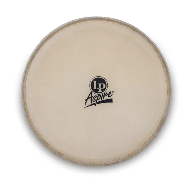 latin-percussion-aspire-bongo-head-8-pelle-ricambio-bongo image 1
