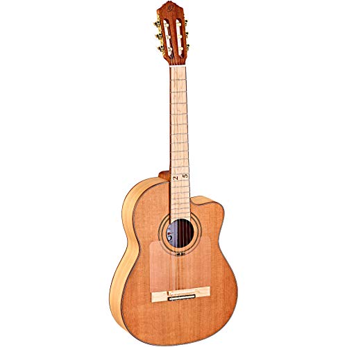 ortega-guitars-25th-anniversary-chitarra-classica-nylon-con-custodia image 5