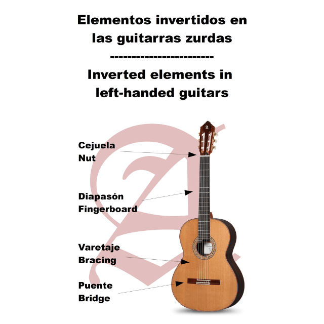 alhambra-guitarras-1-c-ht-special-chitarra-classica-mancina image 7