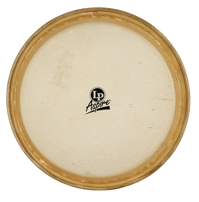 latin-percussion-pelle-ricambio-conga-11-pollici image 1