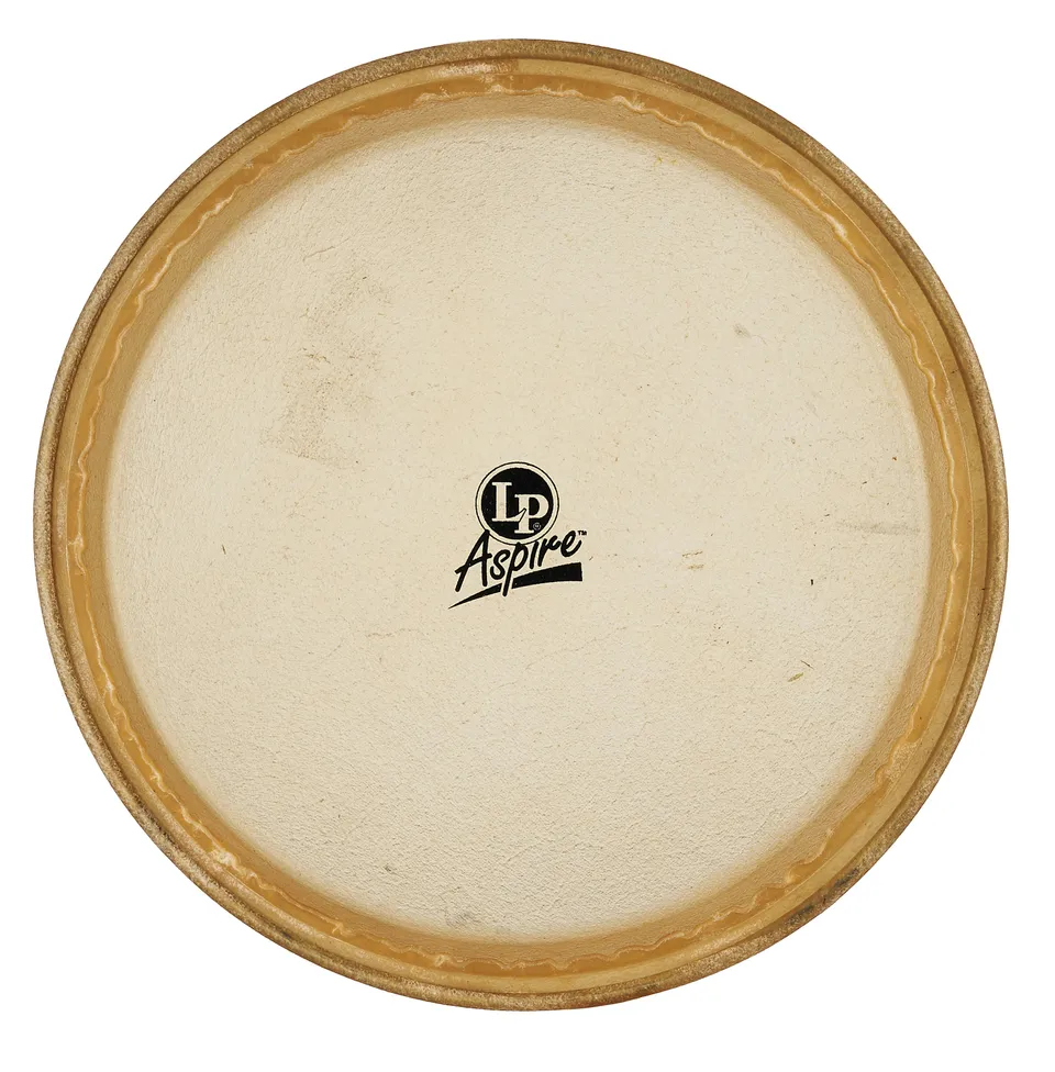 latin-percussion-pelle-ricambio-conga-11-pollici image 1
