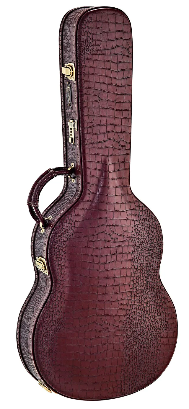 ortega-guitars-occpro-t-classic-pro-valigia-rigida-bronzo-100-mm image 1