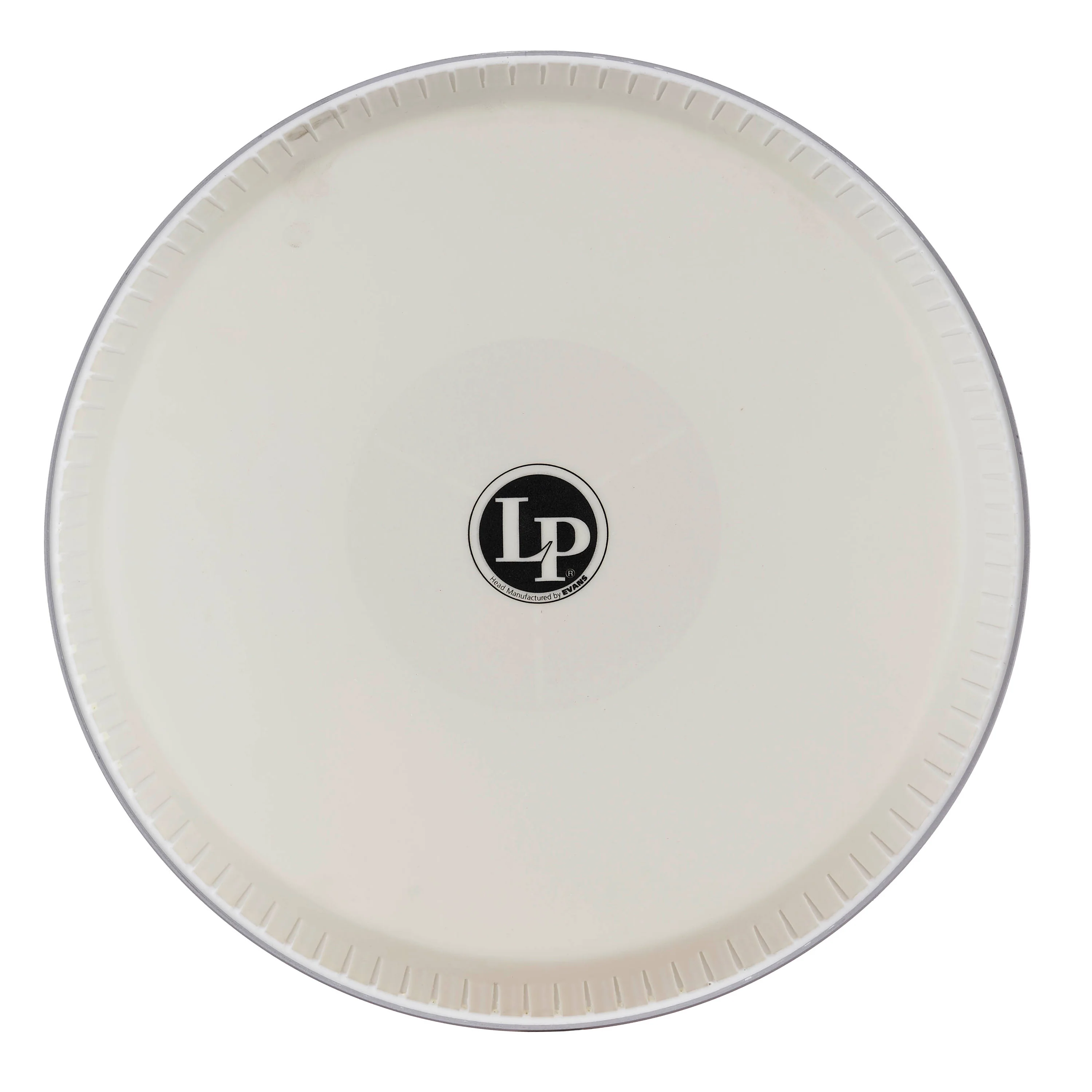 latin-percussion-tri-center-pelle-quinto-11-evans image 2
