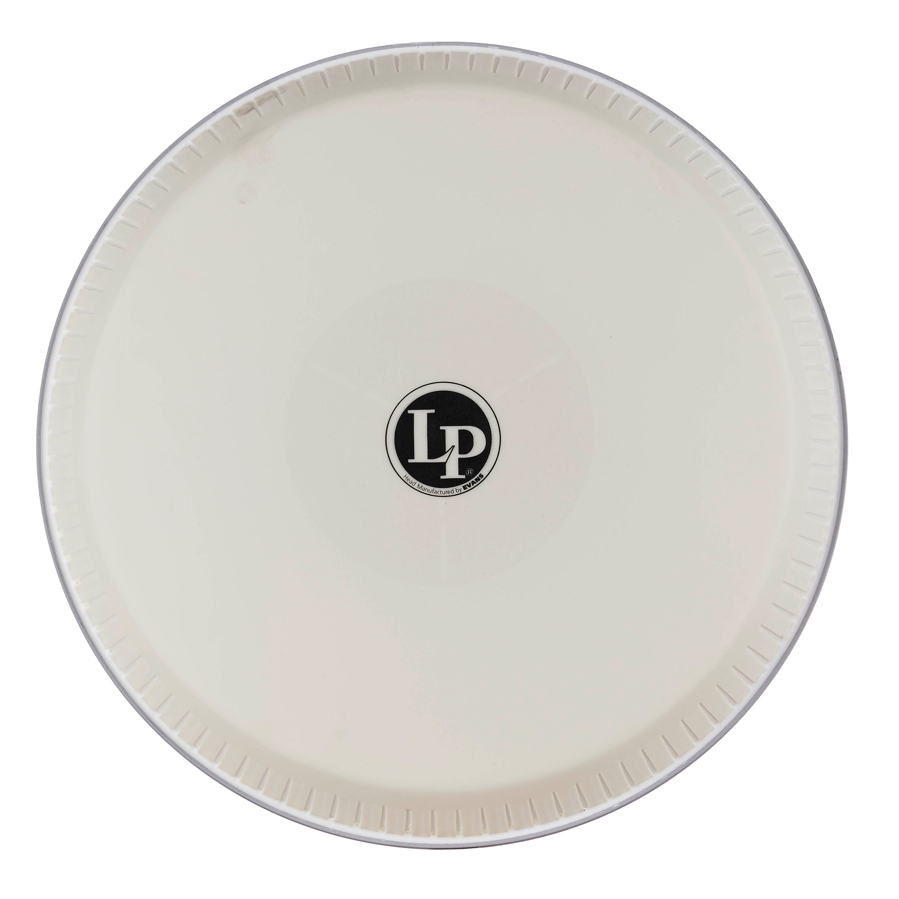 latin-percussion-tri-center-pelle-quinto-11-evans image 1